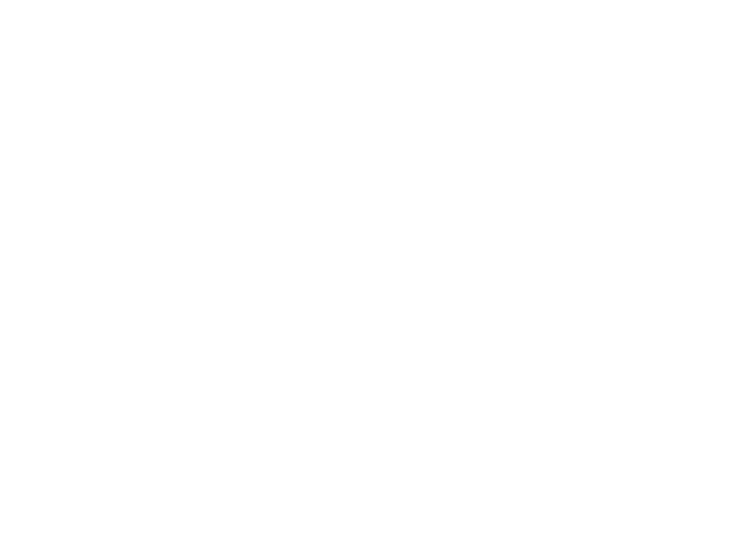 Anapur Logo weiß